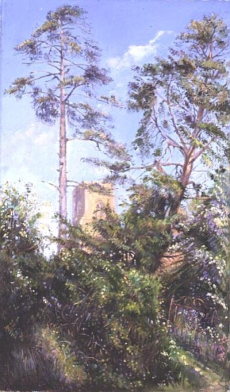 Pine Tree and Tower a Timothy  Easton
