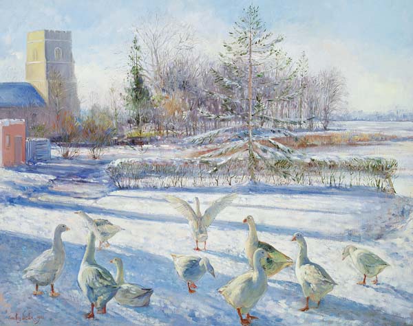 Snow Geese, Winter Morning  a Timothy  Easton