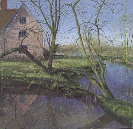 Sprouting Willow Tree a Timothy  Easton