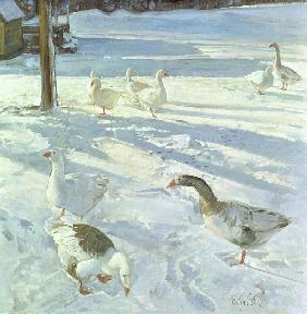 Snowfeeders, 1999 (oil on canvas) 