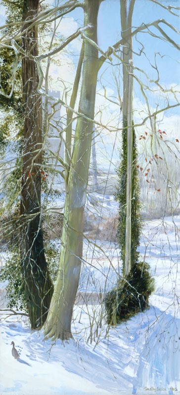 Three Trees in Winter a Timothy  Easton