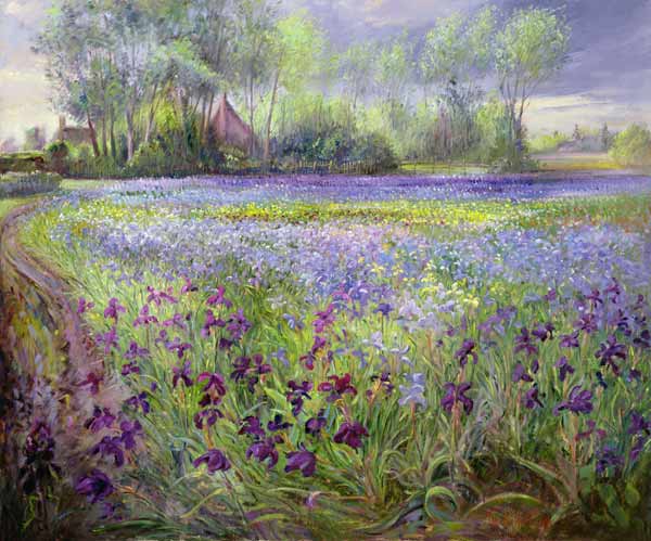 Trackway past the Iris Field, 1991  a Timothy  Easton