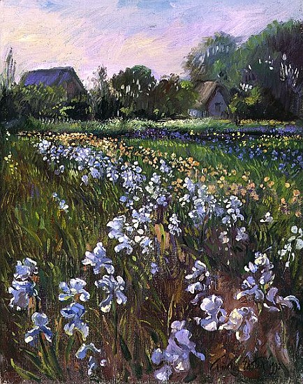 White Irises and Farmstead, 1992  a Timothy  Easton
