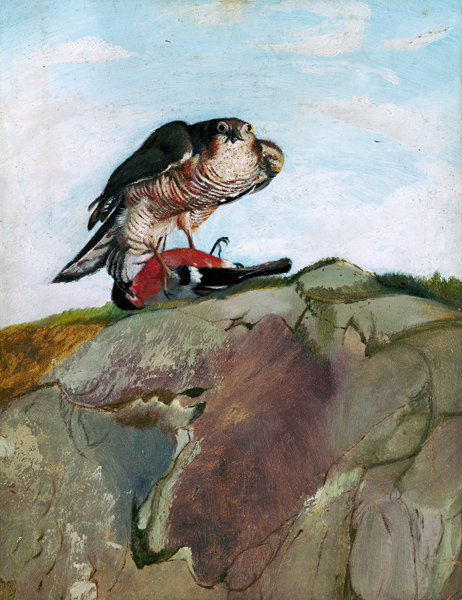 Sparrowhawk which has beaten a bullfinch. a Tivadar Csontváry-Kosztka