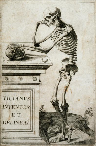 Anatomical study a Tiziano (alias Tiziano Vercellio)