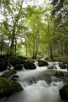 Wilder Fluss in einem Tal a Tobias Ott