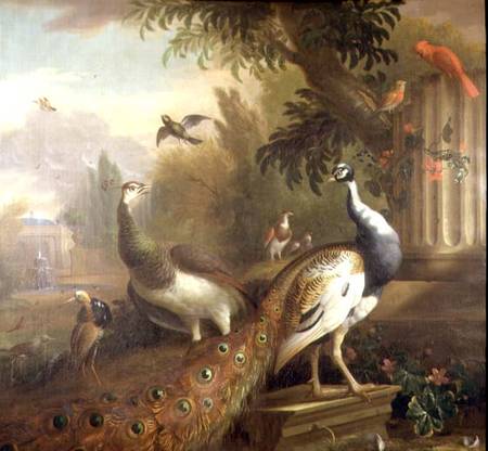 Peacock and Peahen with a Red Cardinal in a Classical Landscape a Tobias Stranover