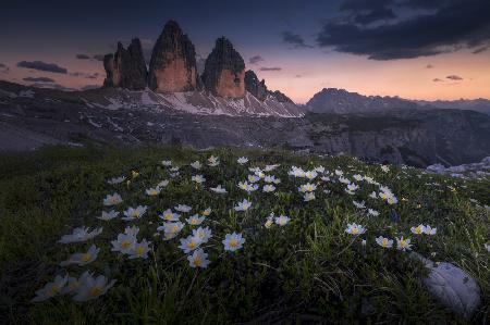 Tre Cime