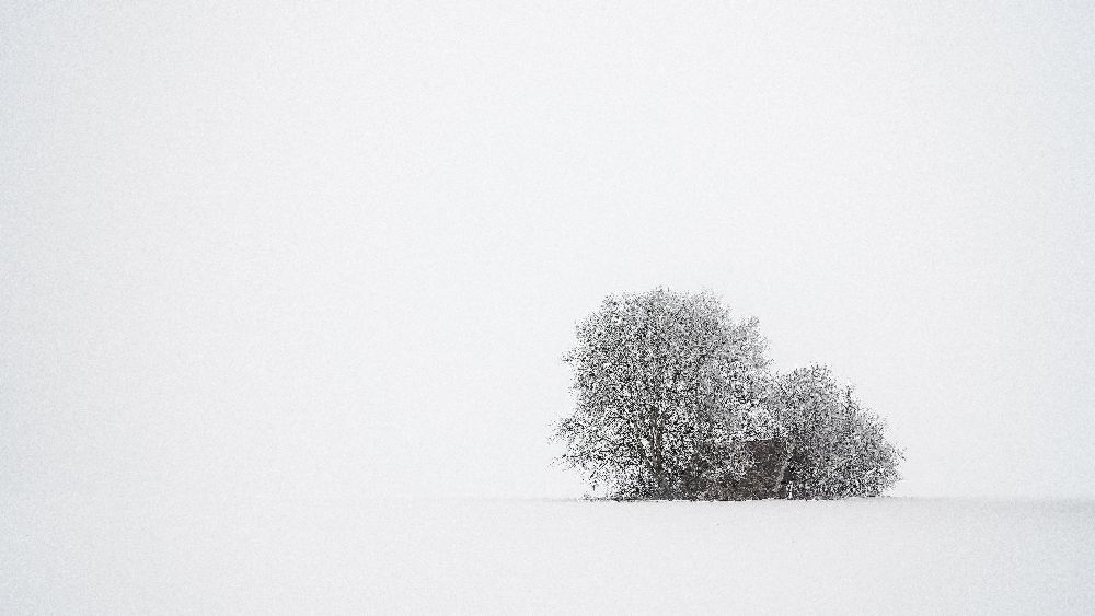 Winter silence a Tom Meier
