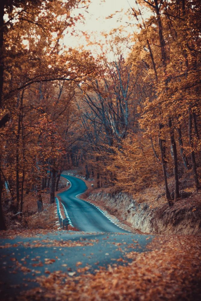 Road in forest autumn beautiful colors a Toma Georgian Mihai