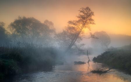 Misty river