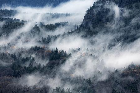 A valley in the fog