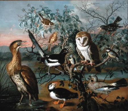 A Concert of Birds: a Puffin, Jay, Great Tit, Blue Tit, Bittern, Starling, Magpie, Yellowhammer, Red a Trajan Hughes