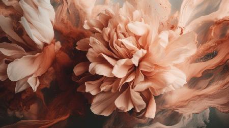 Splashed Peony