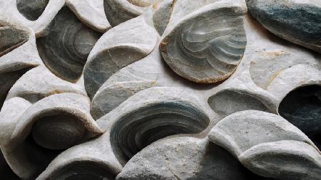 Sea Shells Detail No 5