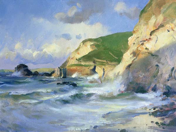 Cliffs at St. Agnes (oil on canvas)  a Trevor  Chamberlain
