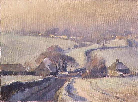 Frosty fields, Aston, 1991  a Trevor  Chamberlain
