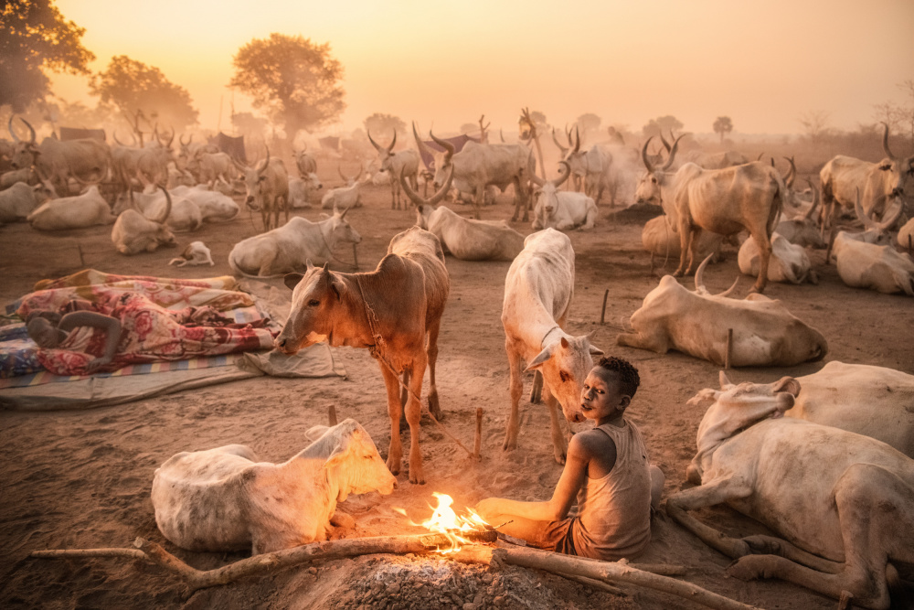 A young Mundari herder at work a Trevor Cole