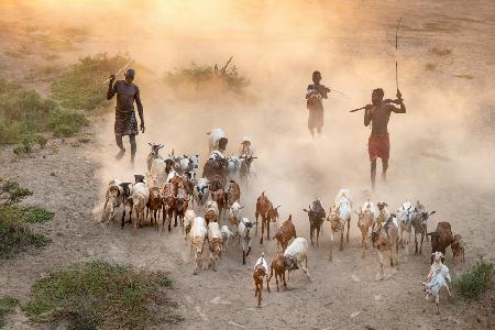 Kara goat herders