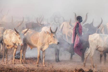 Mundari herder and the herd