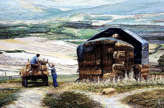 Haymaking, Volterra, Tuscany (oil on canvas)  a Trevor  Neal