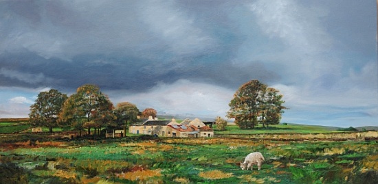 Old Farm, Monyash, Derbyshire a Trevor  Neal
