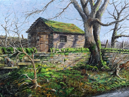 Stone Barn, Alport, Derbyshire a Trevor  Neal