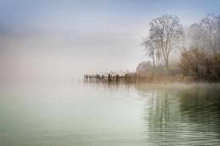 Foggy Spring Morning