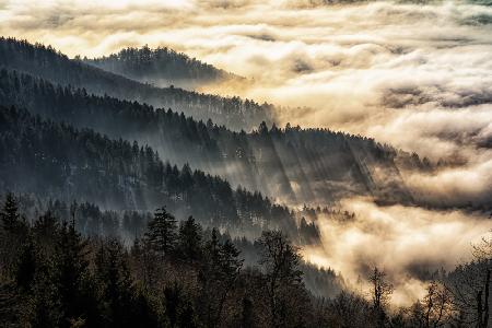 Sunset above the clouds