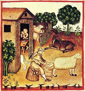 The production of cheese. A miniature from Tacuinum Sanitatis