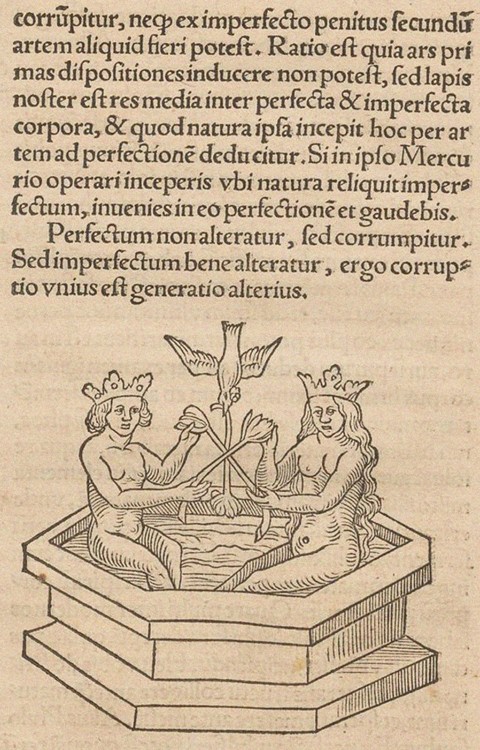 Illustration for The Rosary of the Philosophers (Rosarium philosophorum sive pretiosissimum donum De a Unbekannter Künstler