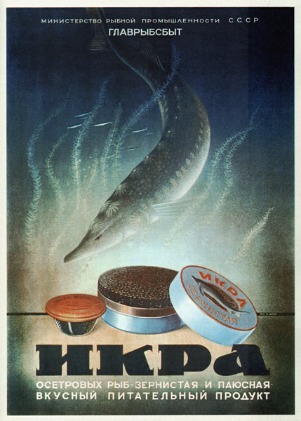 Advertising Poster for the Sturgeon caviar a Unbekannter Künstler