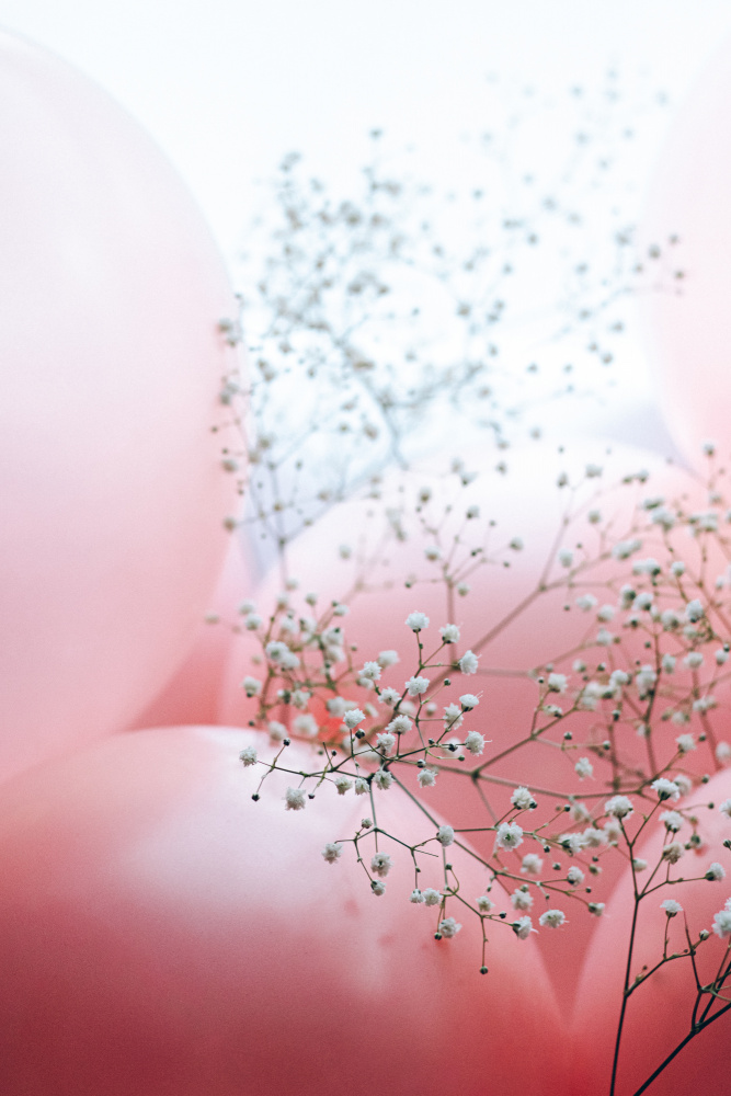 Blooms and Balloons - Moment like this a uplusmestudio