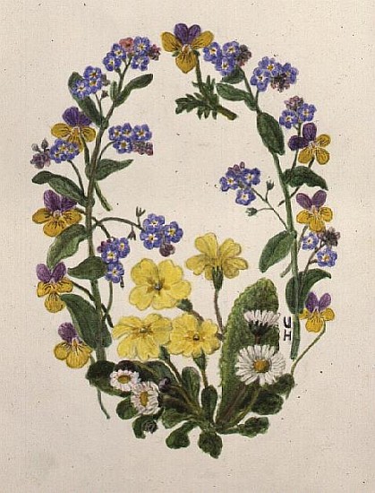 Primroses, Forget-me-nots, Pansies and Daisies (w/c on paper)  a Ursula  Hodgson