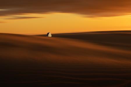 on the dunes