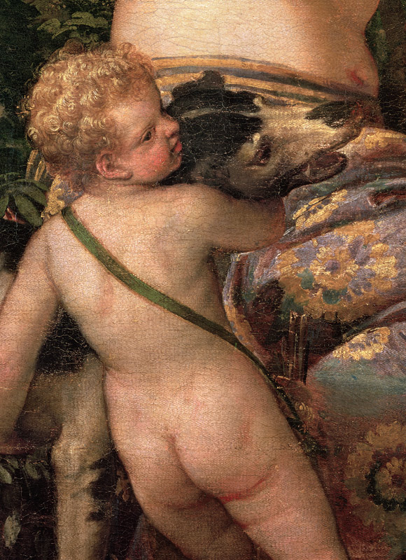 Cupid, detail from Venus and Adonis a Veronese, Paolo (Paolo Caliari)