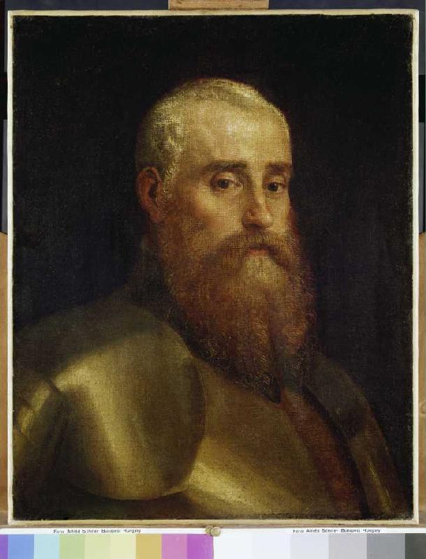 Portrait of the Agostino Barbarigo. a Veronese, Paolo (Paolo Caliari)