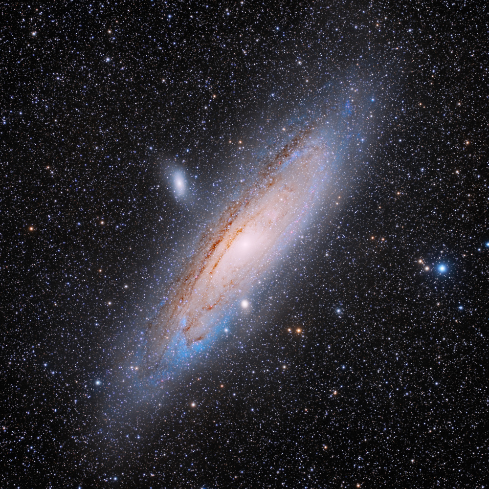 Andromeda a Vikas Chander