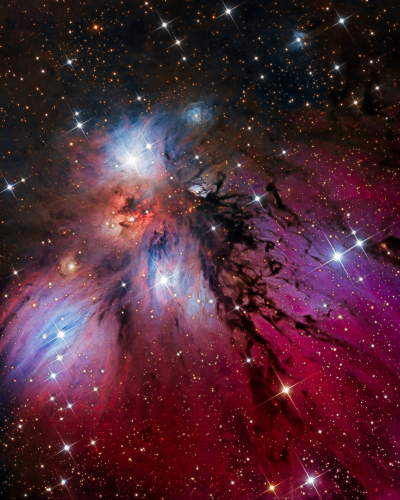 The Angel Nebula a Vikas Chander