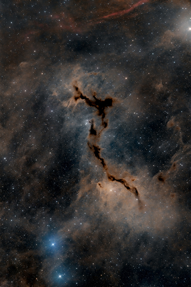 The Seahorse Nebula a Vikas Chander