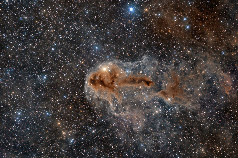Rotten Fish Nebula a Vikas Chander