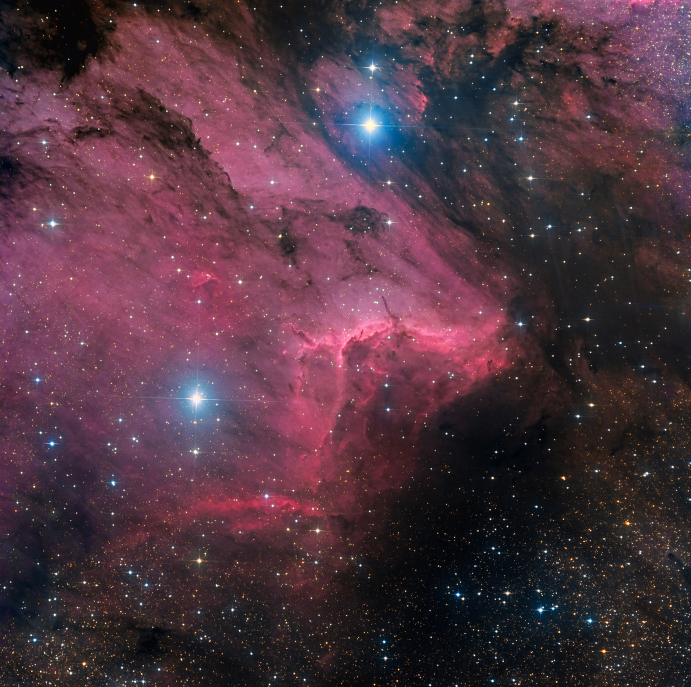 Pelican nebula a Vikas Chander