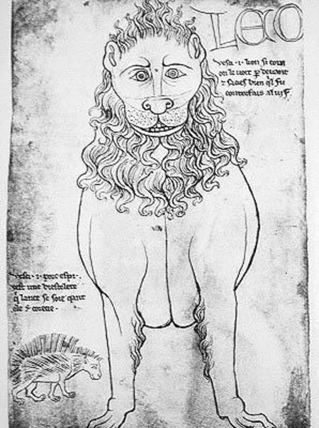Ms Fr 19093 fol.24v Lion and Porcupine (pen & ink on paper) (facsimile) a Villard  de Honnecourt