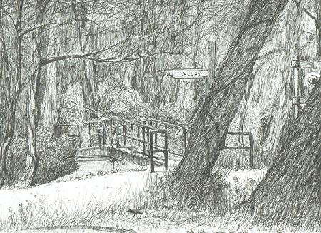 The old metal bridge, Bramhall park