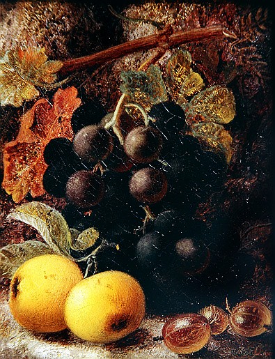 Grapes, Apples and Gooseberries a Vincent Clare