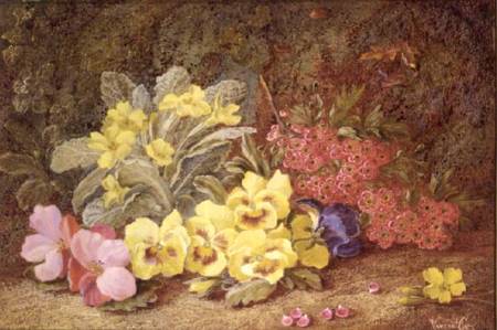 Roses and Primroses a Vincent Clare