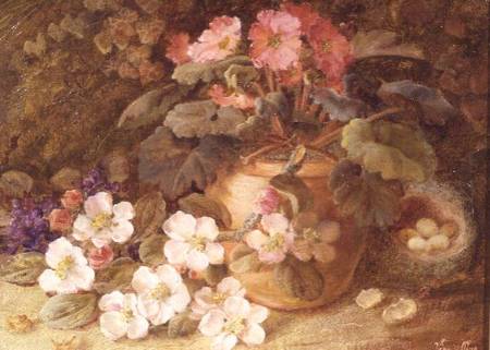 Still Life with Apple Blossom, Primula and Bird's Nest a Vincent Clare