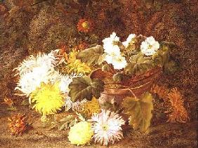 Still Life with Flowers