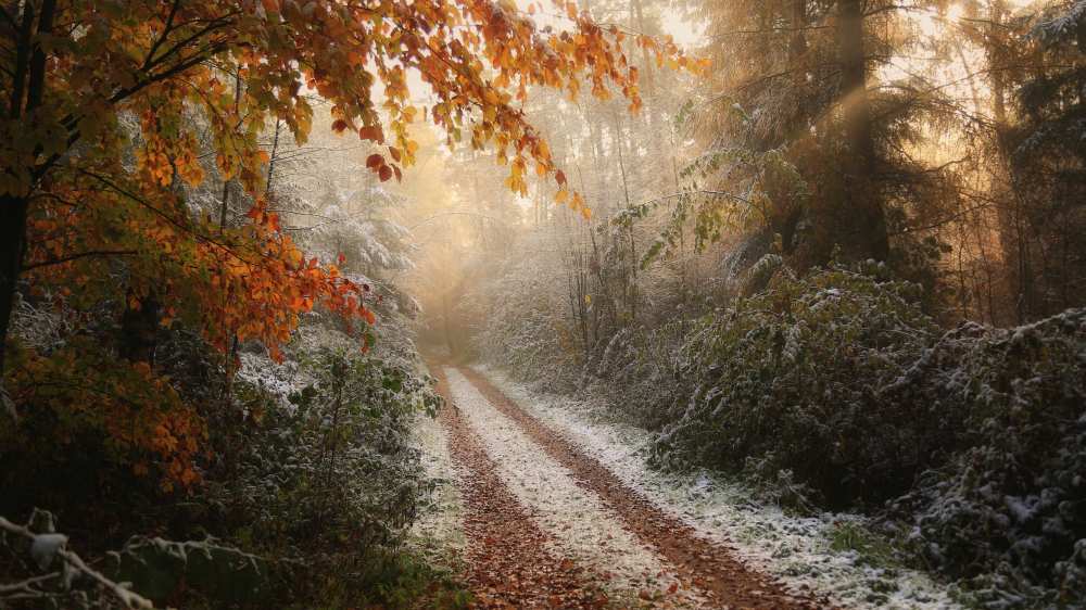 Frosty Fall a Vincent Croce
