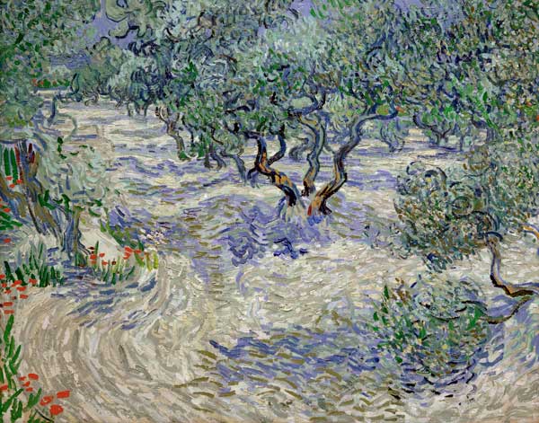 Olivenhain a Vincent Van Gogh
